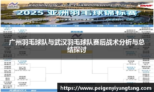 广州羽毛球队与武汉羽毛球队赛后战术分析与总结探讨