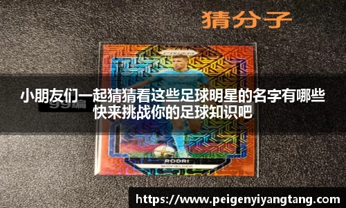 小朋友们一起猜猜看这些足球明星的名字有哪些快来挑战你的足球知识吧